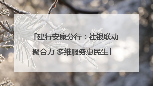 建行安康分行：社银联动聚合力 多维服务惠民生