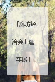 廊坊经洽会上逛车展