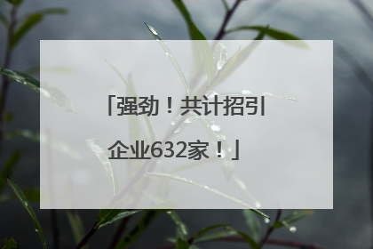 强劲！共计招引企业632家！