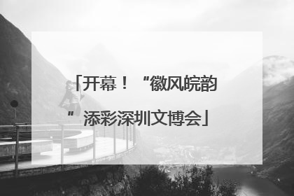 开幕！“徽风皖韵”添彩深圳文博会
