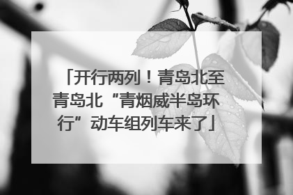 开行两列！青岛北至青岛北“青烟威半岛环行”动车组列车来了