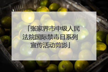 张家界市中级人民法院国际禁毒日系列宣传活动剪影
