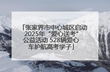 张家界市中心城区启动2025年“爱心送考”公益活动 528辆爱心车护航高考学子