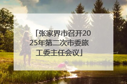 张家界市召开2025年第二次市委旅工委主任会议