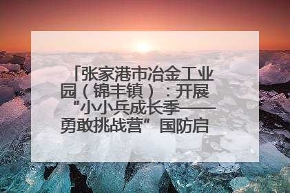 张家港市冶金工业园（锦丰镇）：开展“小小兵成长季——勇敢挑战营”国防启蒙教育活动