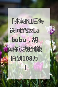 张朝阳后悔送回绝版Labubu，胡润称没想到能拍到108万