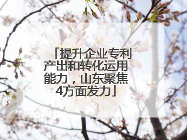 提升企业专利产出和转化运用能力，山东聚焦4方面发力