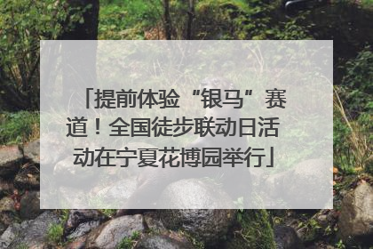 提前体验“银马”赛道！全国徒步联动日活动在宁夏花博园举行