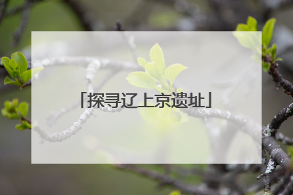 探寻辽上京遗址