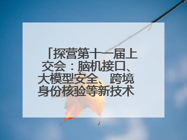探营第十一届上交会：脑机接口、大模型安全、跨境身份核验等新技术将悉数亮相