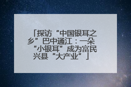 探访“中国银耳之乡”巴中通江：一朵“小银耳”成为富民兴县“大产业”