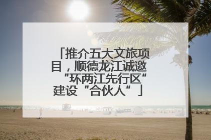 推介五大文旅项目，顺德龙江诚邀“环两江先行区”建设“合伙人”