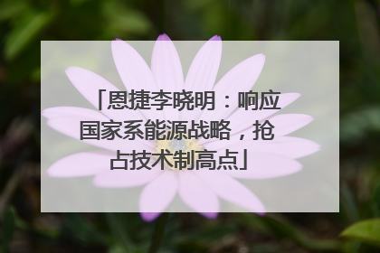 恩捷李晓明：响应国家系能源战略，抢占技术制高点