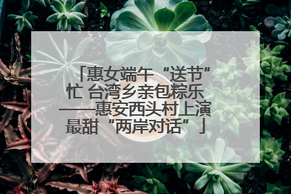 惠女端午“送节”忙 台湾乡亲包粽乐——惠安西头村上演最甜“两岸对话”