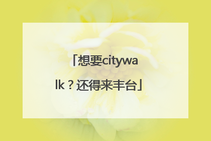 想要citywalk？还得来丰台