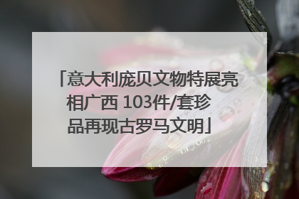 意大利庞贝文物特展亮相广西 103件/套珍品再现古罗马文明