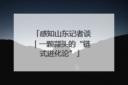 感知山东记者谈｜一颗蒜头的“链式进化论”