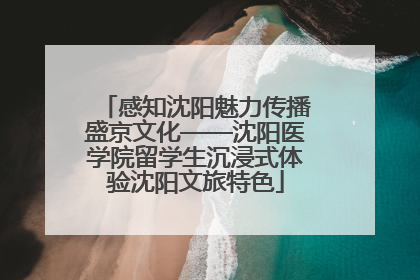 感知沈阳魅力传播盛京文化——沈阳医学院留学生沉浸式体验沈阳文旅特色