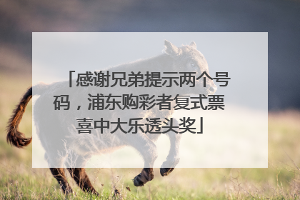 感谢兄弟提示两个号码，浦东购彩者复式票喜中大乐透头奖