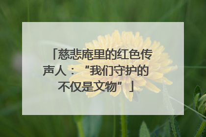 慈悲庵里的红色传声人：“我们守护的不仅是文物”