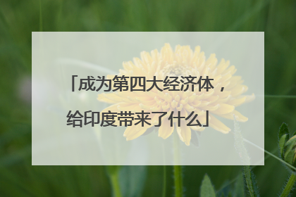 成为第四大经济体，给印度带来了什么