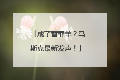成了替罪羊？马斯克最新发声！