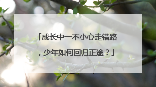 成长中一不小心走错路，少年如何回归正途？