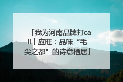 我为河南品牌打call丨应旺：品味“毛尖之都”的诗意栖居