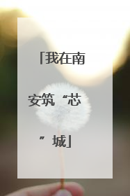 我在南安筑“芯”城