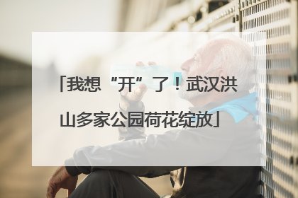 我想“开”了！武汉洪山多家公园荷花绽放