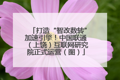 打造“智改数转”加速引擎！中国联通（上饶）互联网研究院正式运营（图）