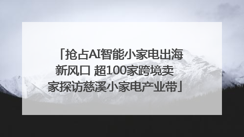 抢占AI智能小家电出海新风口 超100家跨境卖家探访慈溪小家电产业带