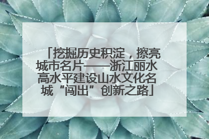 挖掘历史积淀，擦亮城市名片——浙江丽水高水平建设山水文化名城“闯出”创新之路