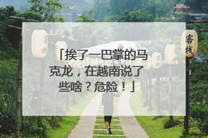 挨了一巴掌的马克龙，在越南说了些啥？危险！