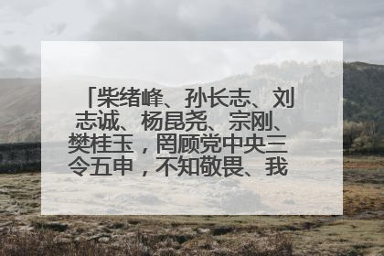 柴绪峰、孙长志、刘志诚、杨昆尧、宗刚、樊桂玉，罔顾党中央三令五申，不知敬畏、我行我素、肆意妄为！