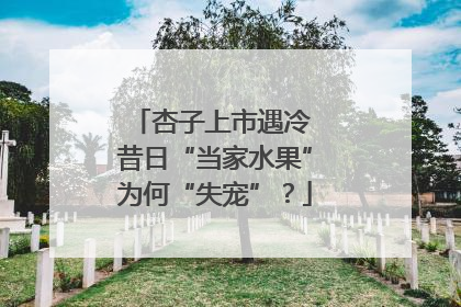 杏子上市遇冷 昔日“当家水果”为何“失宠”？