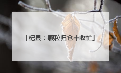 杞县：颗粒归仓丰收忙