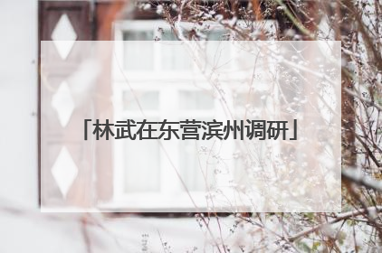林武在东营滨州调研
