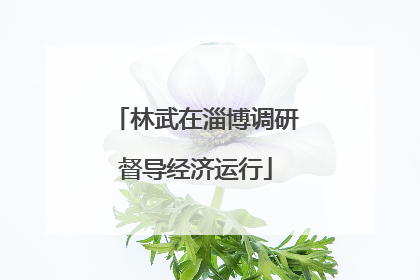林武在淄博调研督导经济运行