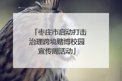 枣庄市启动打击治理跨境赌博校园宣传周活动