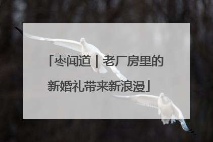 枣闻道｜老厂房里的新婚礼带来新浪漫
