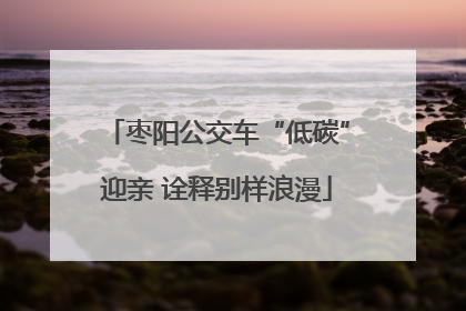 枣阳公交车“低碳”迎亲 诠释别样浪漫