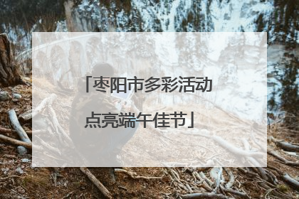 枣阳市多彩活动点亮端午佳节