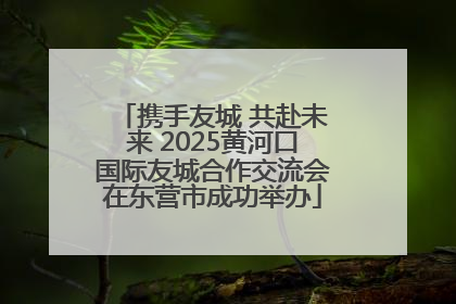 携手友城 共赴未来 2025黄河口国际友城合作交流会在东营市成功举办