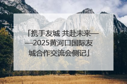 携手友城 共赴未来——2025黄河口国际友城合作交流会侧记