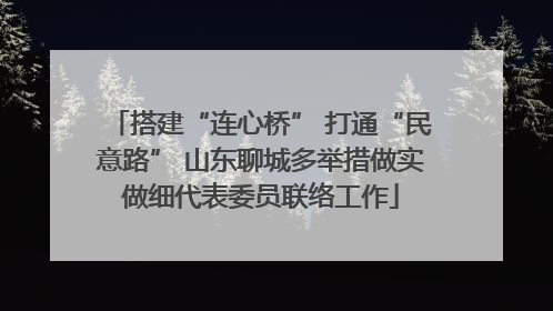 搭建“连心桥” 打通“民意路” 山东聊城多举措做实做细代表委员联络工作