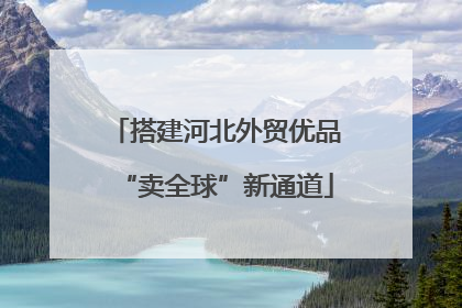 搭建河北外贸优品“卖全球”新通道