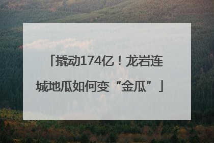 撬动174亿！龙岩连城地瓜如何变“金瓜”
