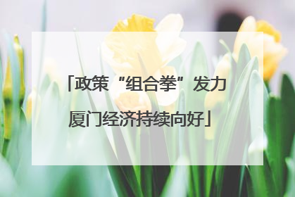 政策“组合拳”发力 厦门经济持续向好