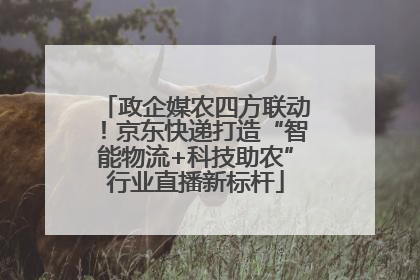 政企媒农四方联动！京东快递打造“智能物流+科技助农”行业直播新标杆